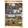 Spirou 2663