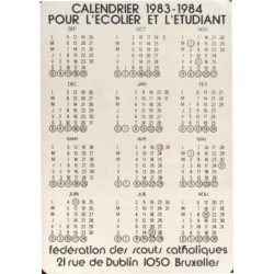 Tu viens scouter avec nous ?