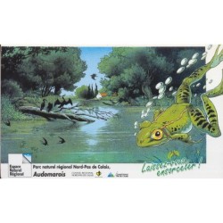Audomarois