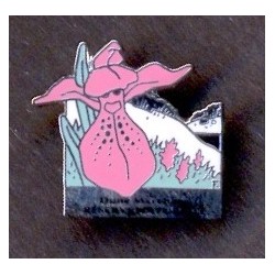 Pin's