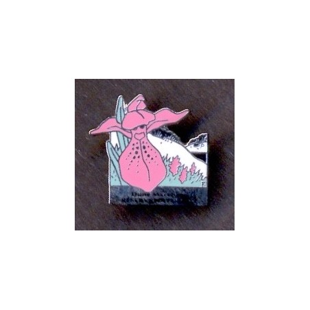 Pin's