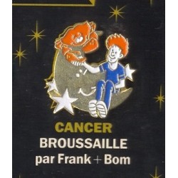 Pin's du zodiaque