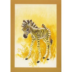 Animaux