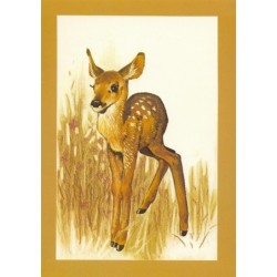 Animaux