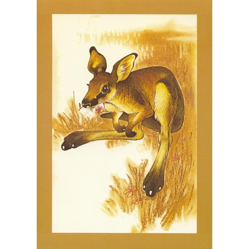 Animaux