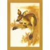 Animaux