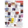Lettre info n° 4