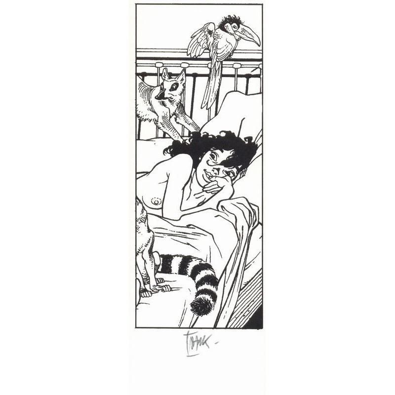 Extrait de la sérigraphie St Malo