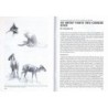International zoo news n° 326