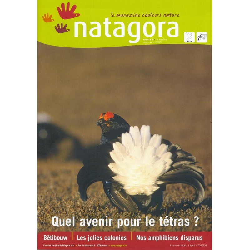 Natagora n° 6