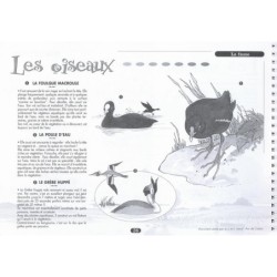 Les classes d'eau