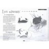 Les classes d'eau