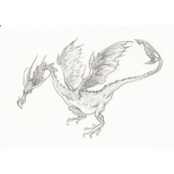 Dragon Warner