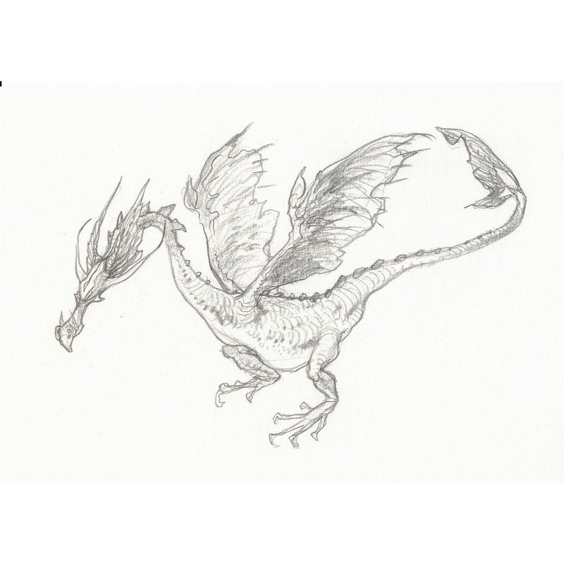 Dragon Warner