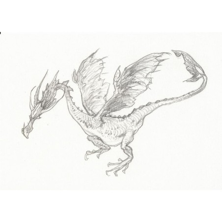 Dragon Warner