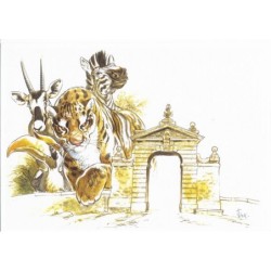Zoo esquisses
