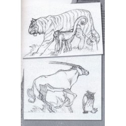 L'inédit n° 22