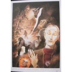 Hommage à Dian Fossey et Jane Goodall