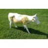 Vache Art on Cows