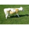 Vache Art on Cows
