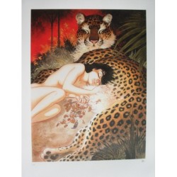 Le ventre de la panthère