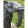 L'éléphant