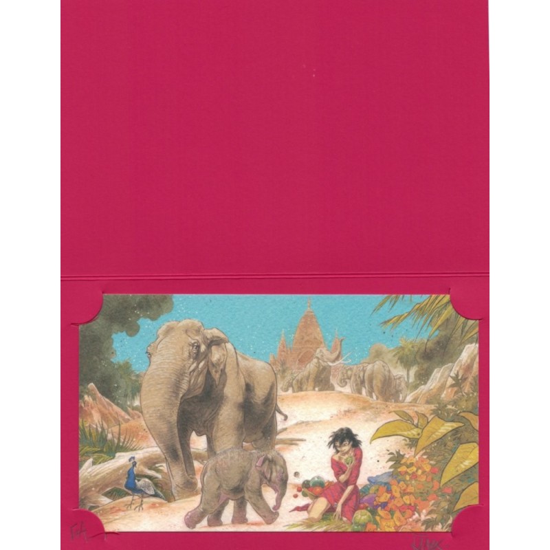 Manon et éléphants