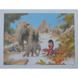 Manon et éléphants