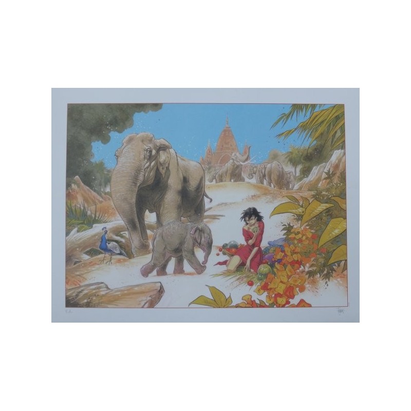 Manon et éléphants