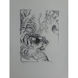 Tigre litho sur pierre