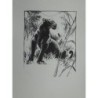 Panthère noire litho sur pierre