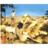 Auteur de Solliès-Villes