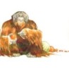 Orang Outan