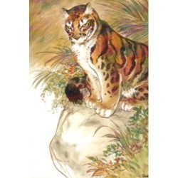 Phanthère Nébuleuse