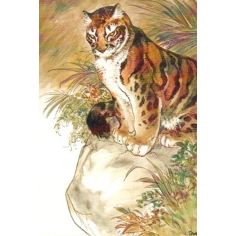 Phanthère Nébuleuse