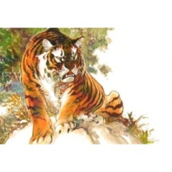 Tigre de Sibérie