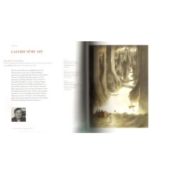 Catalogue Brafa 2013