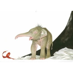 Eléphantômes