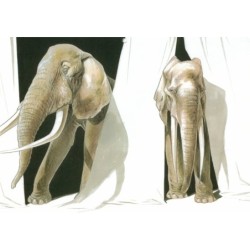 Eléphantômes