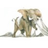 Eléphantômes