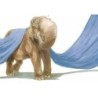 Eléphantômes
