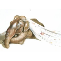 Eléphantômes