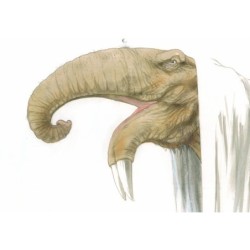 Eléphantômes