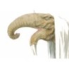 Eléphantômes