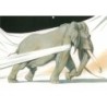 Eléphantômes