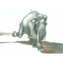Eléphantômes