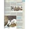 L'immanquable n° 60