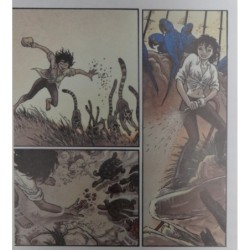 La Belgique dessinée