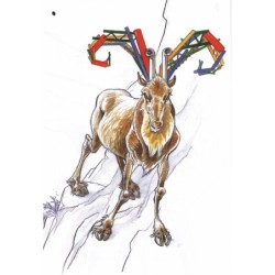 L'Arti-Zoo