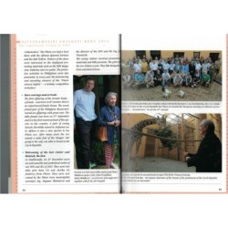 The annual report 2012